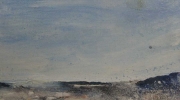 mer1