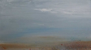 mer3